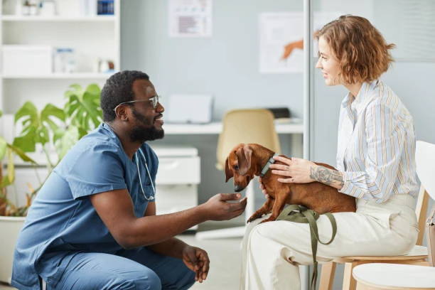 Consulta médico veterinário