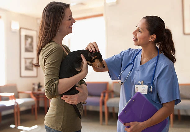 Imagem ilustrativa de Consultório veterinário em Sumaré